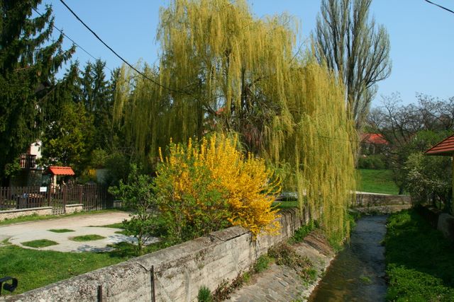 Veszprém 3